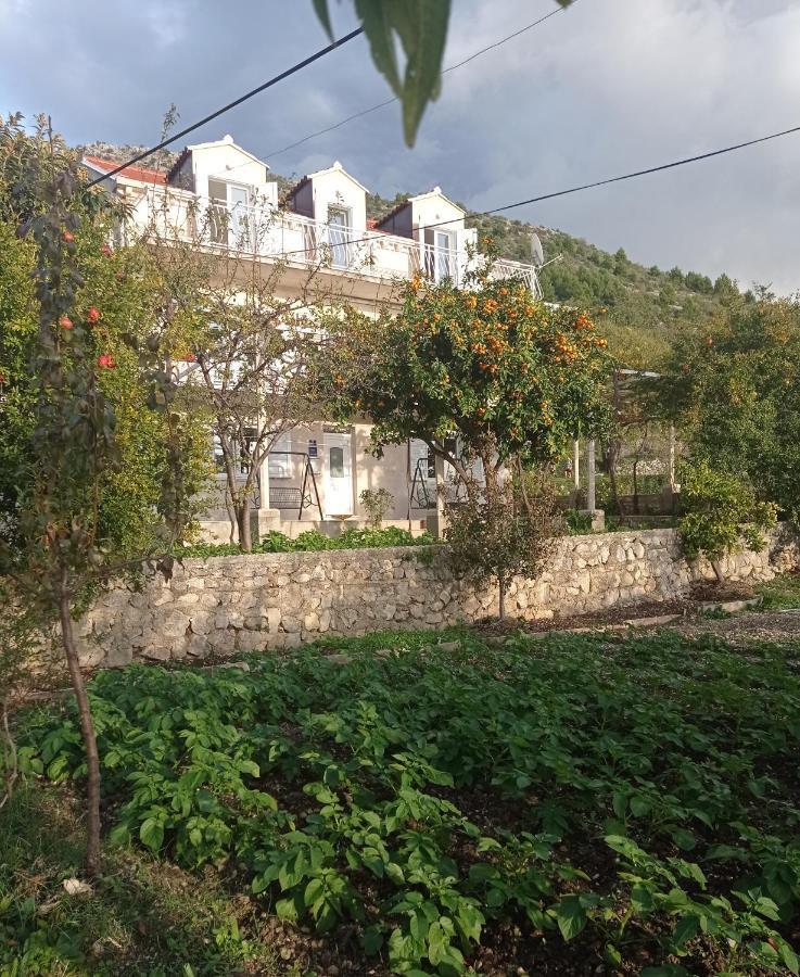 Apartment Lucija With Sea View Dubrovnik Extérieur photo