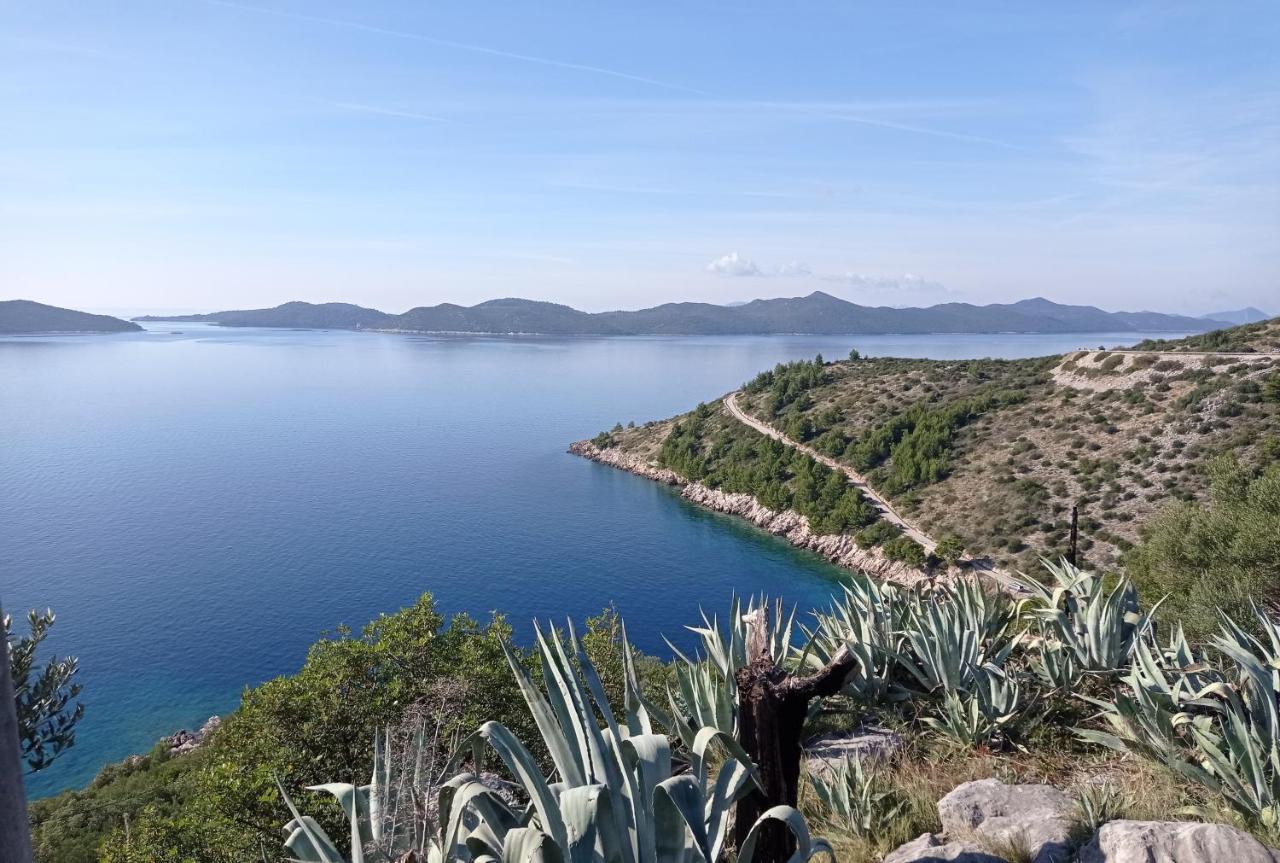 Apartment Lucija With Sea View Dubrovnik Extérieur photo